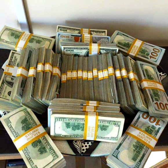 Meet your Posher, Calvin - Picture 1 of 2